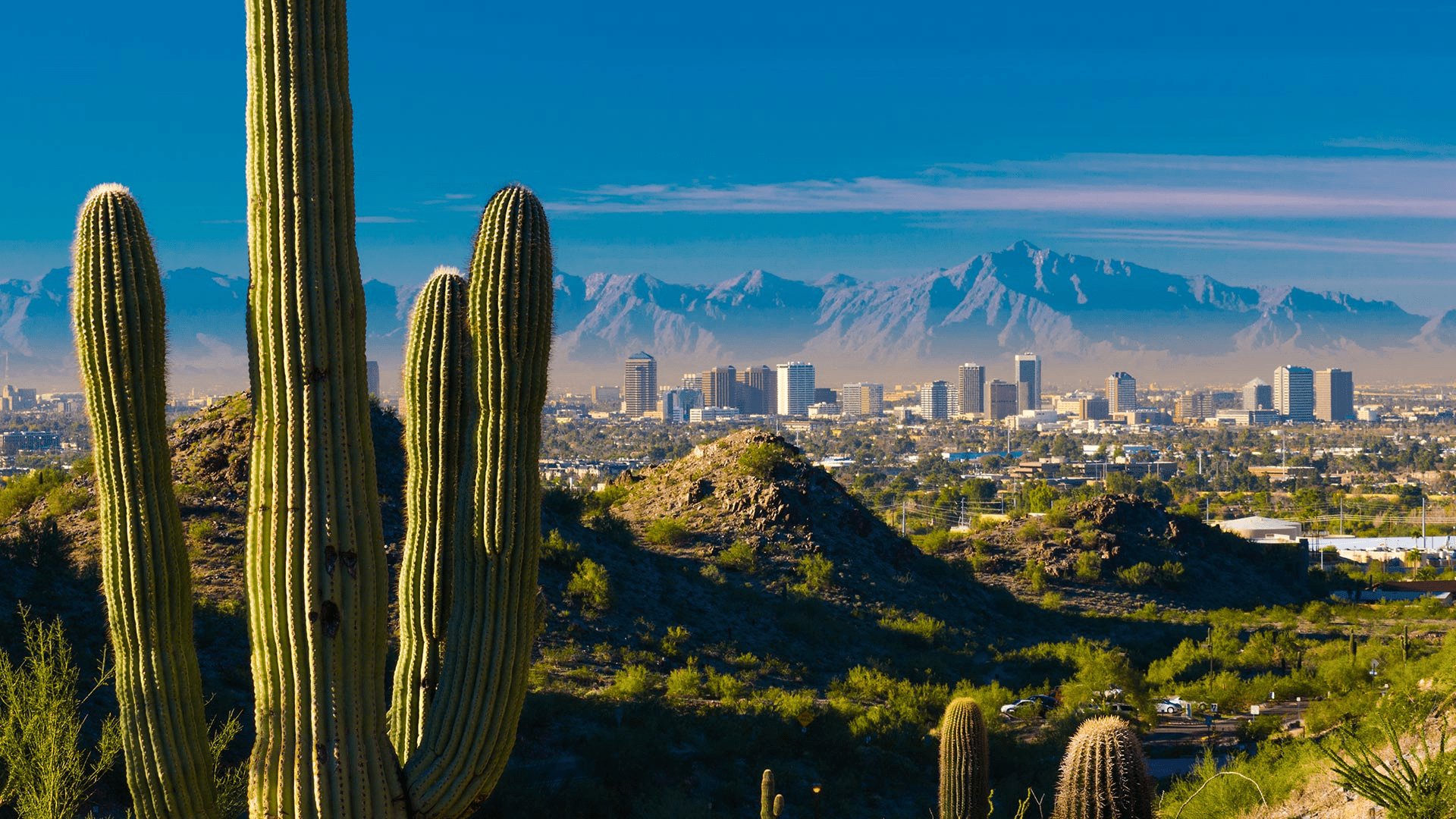 1920x1080 Free download Interventional Neurology Opportunity in Phoenix Arizona [1920x1080] for your Desktop, Mobile & Tablet. Explore Phoenix Arizona Wallpaper. Phoenix Arizona Wallpaper, Phoenix Arizona Wallpaper, Wallpaper Phoenix Arizona
