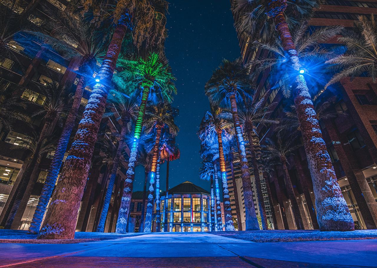 1280x910 Desktop Wallpaper USA Midtown Phoenix, Arizona Palms Street Night