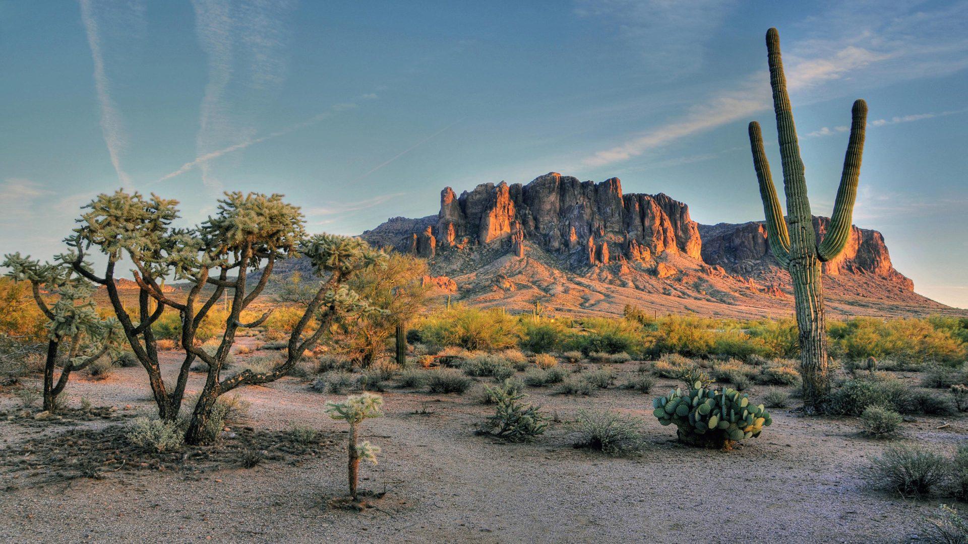 1920x1080 Superstition Mountains Mountain Range In Field Phoenix Arizona Usa Landscape Desert Landscapes Download All 4k Wallpaper Image For Your Desktop Background :