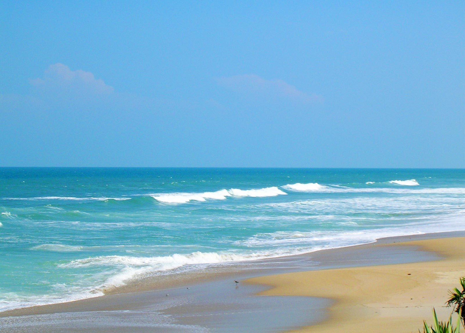 1601x1149 Playalinda Beach. Best us beaches, Playalinda beach, Florida beaches