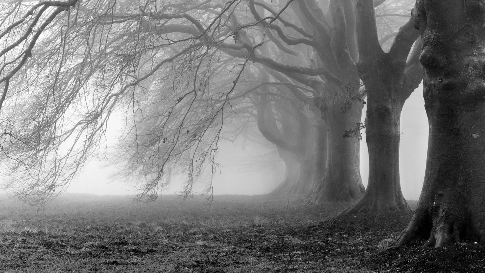 1600x900 Morning Mist 27419 1600x900px