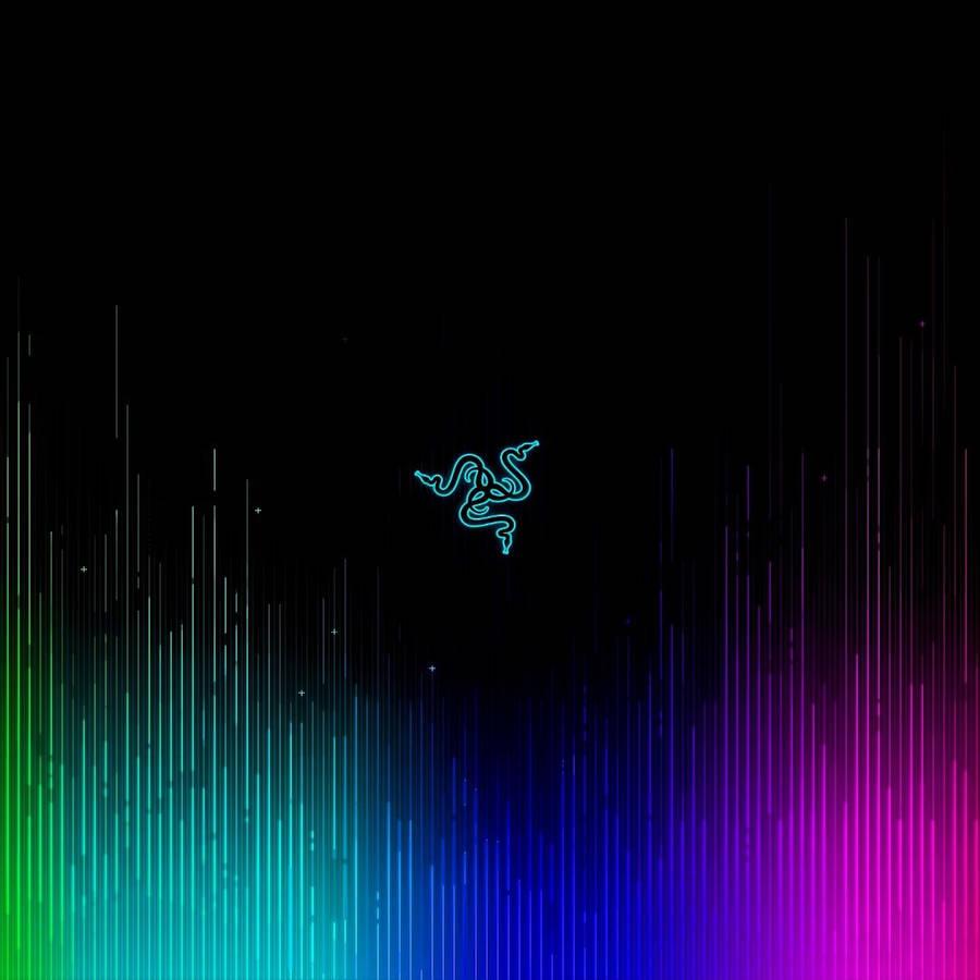 900x900 Download Rgb Wallpaper