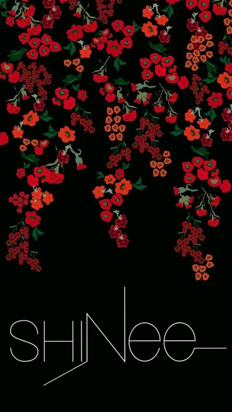 800x1421 SHINee Phone Wallpaper