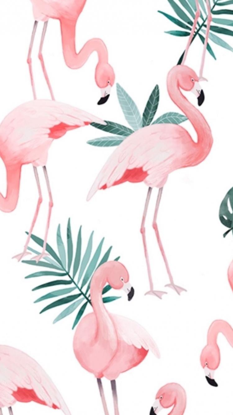 Christmas Flamingo Wallpapers - Top Free Christmas Flamingo Backgrounds - WallpaperAccess Christmas Flamingo Wallpapers - Top Free Christmas Flamingo Backgrounds - WallpaperAccess
