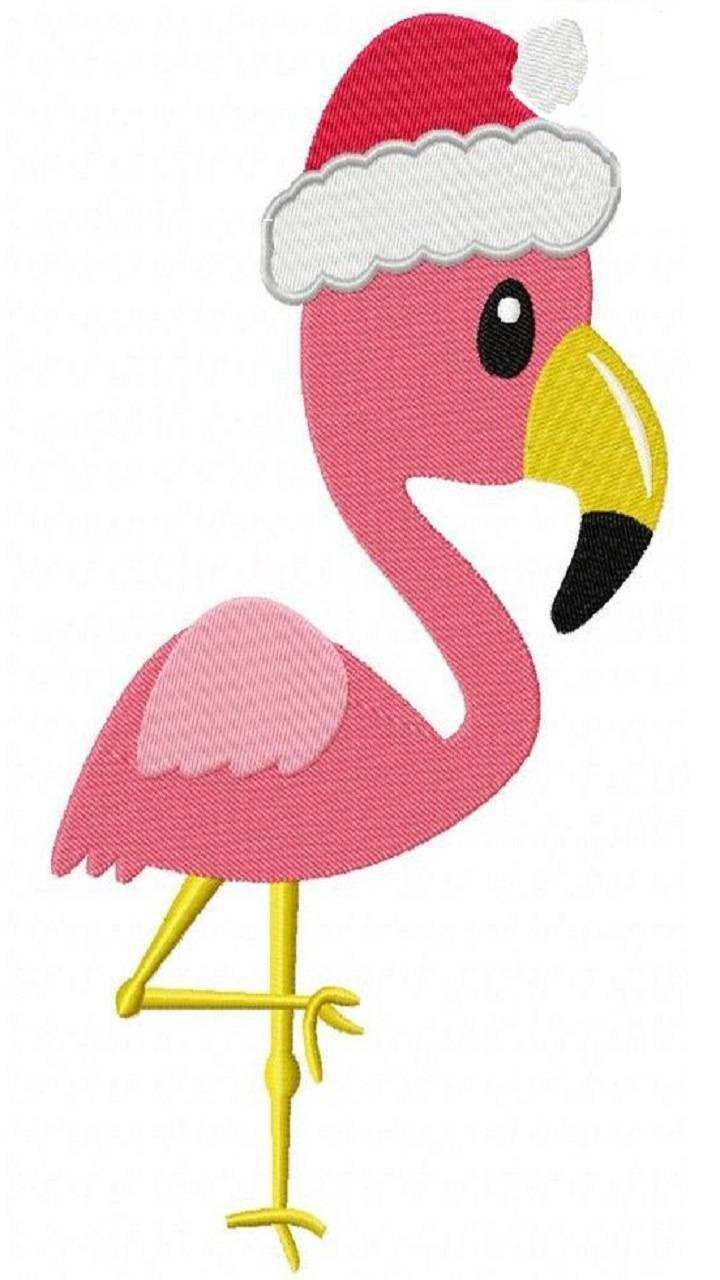 720x1280 Download Holiday Flamingo HD Wallpaper and Background