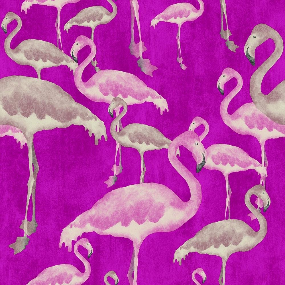 1000x1000 Pink Flamingo Wallpaper Uk