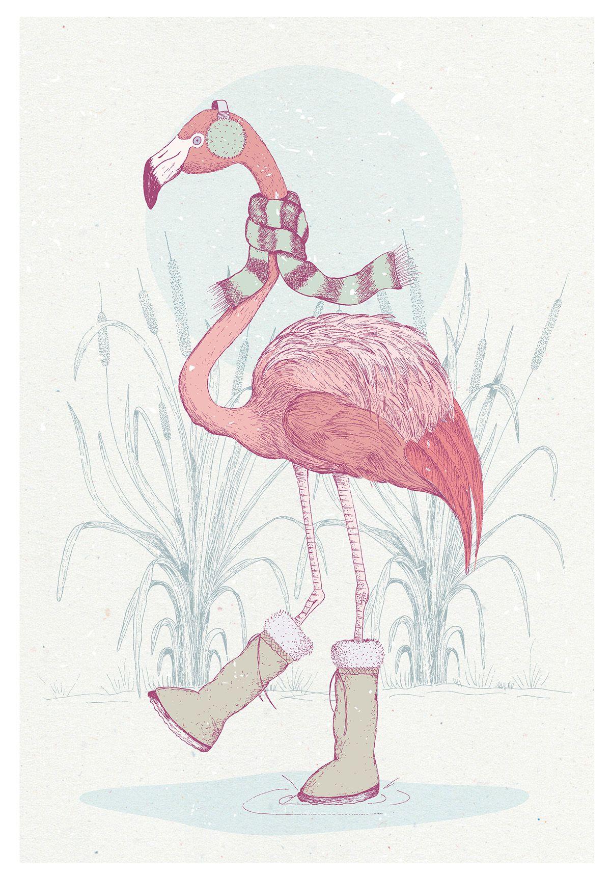 Christmas Flamingo Wallpapers - Top Free Christmas Flamingo Backgrounds