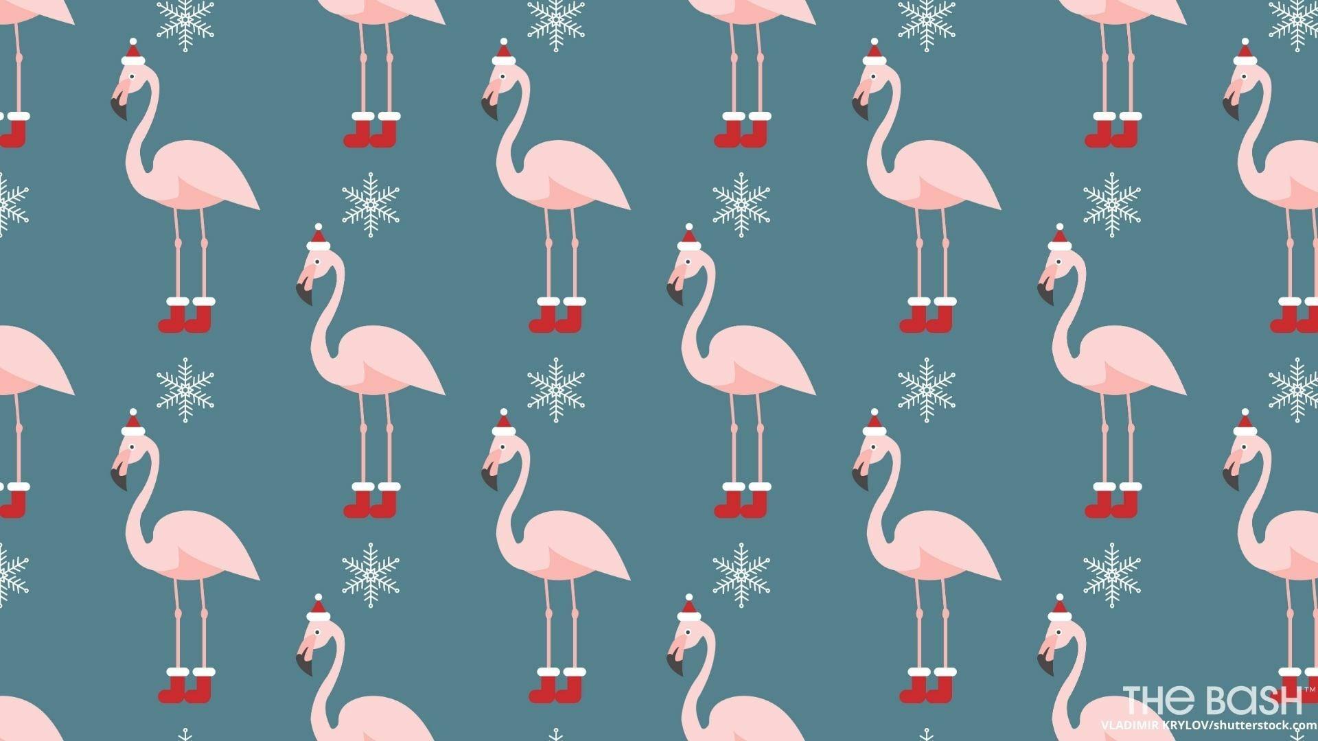 Christmas Flamingo Wallpapers - Top Free Christmas Flamingo Backgrounds