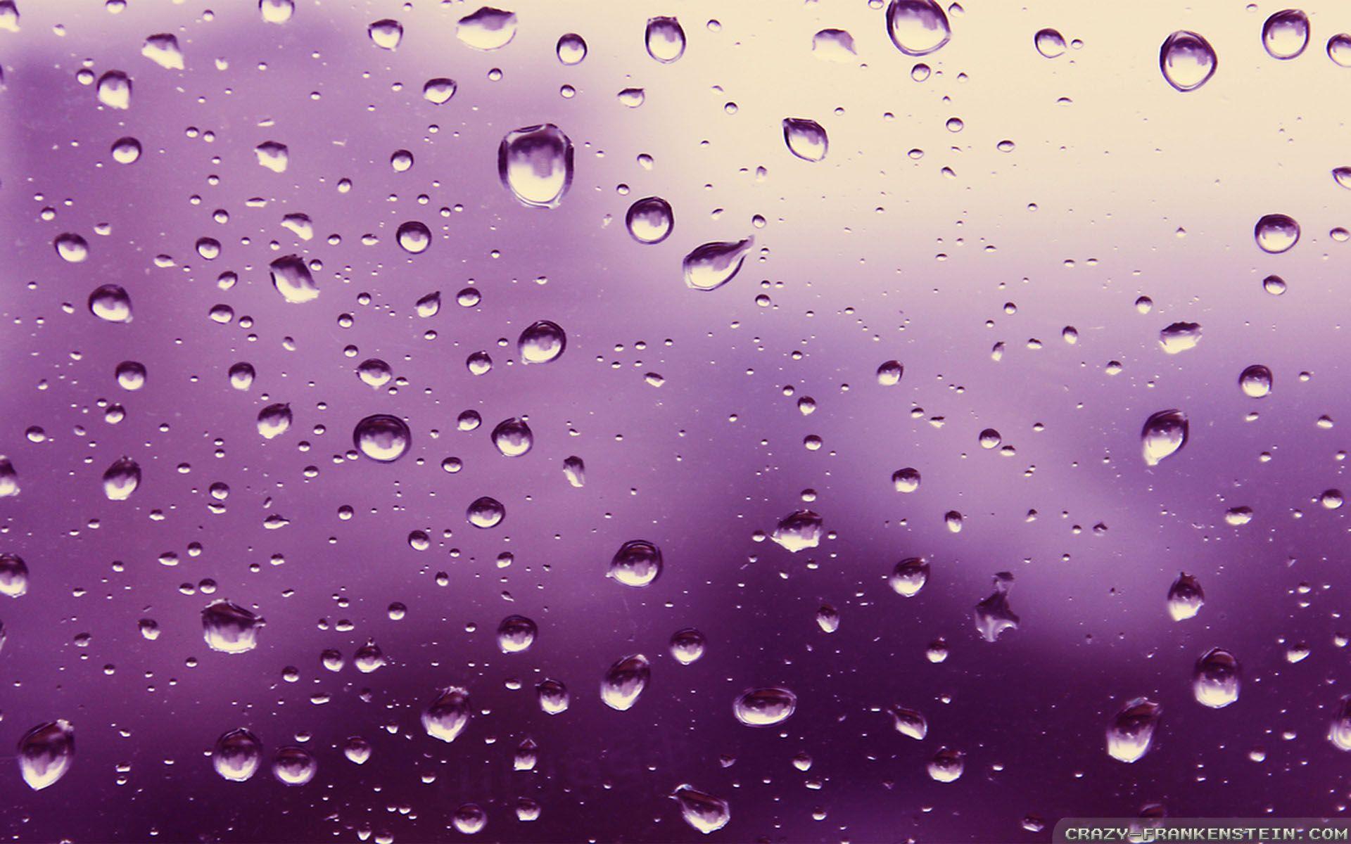 Purple Rain Wallpaper GIF  Purple Rain Wallpaper Pixels  Discover  Share  GIFs