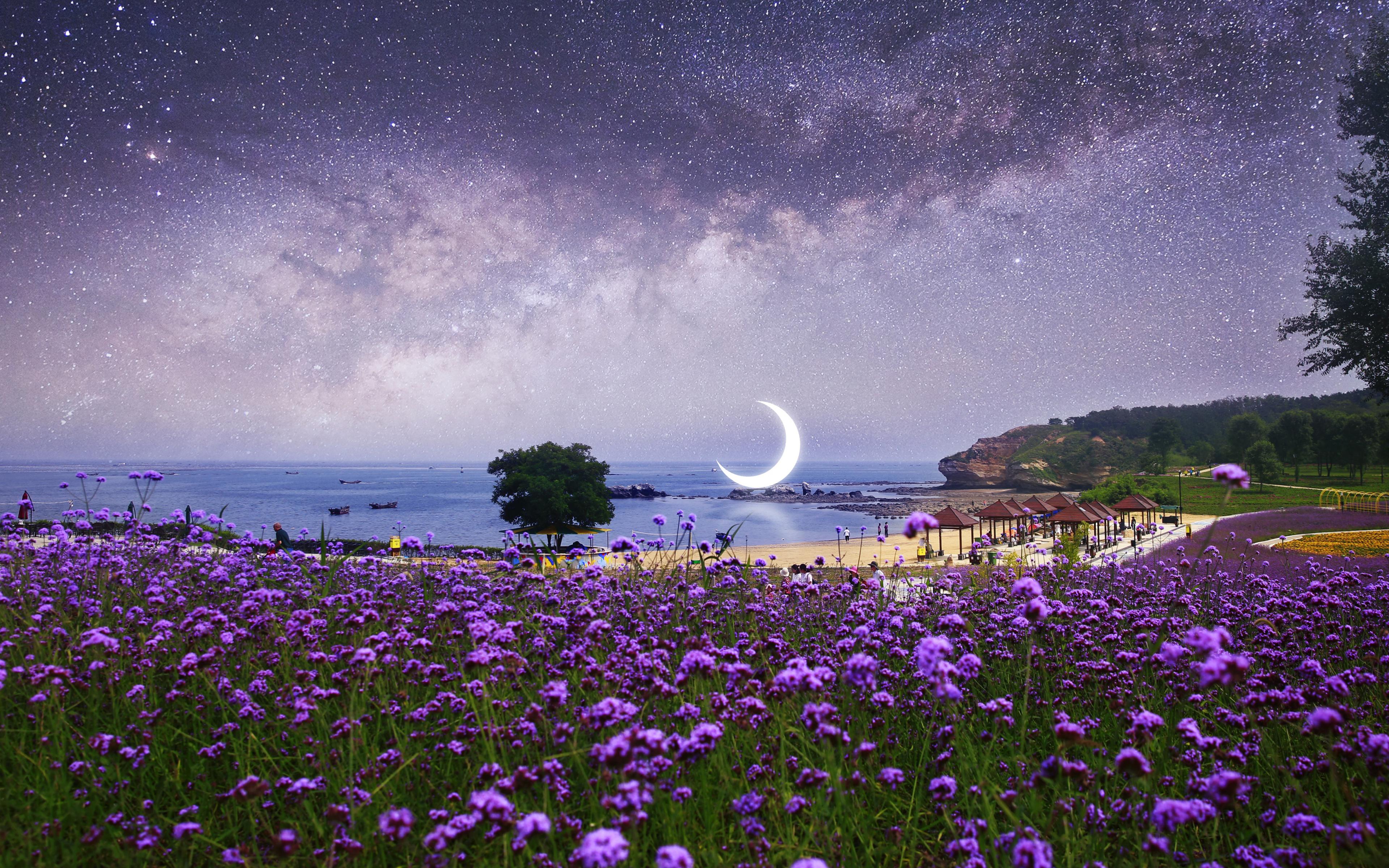3840x2400 Download Beach, flowers, farm, milky way, surreal, photohop wallpaper, 3840x 4K Ultra HD 16: Widescreen