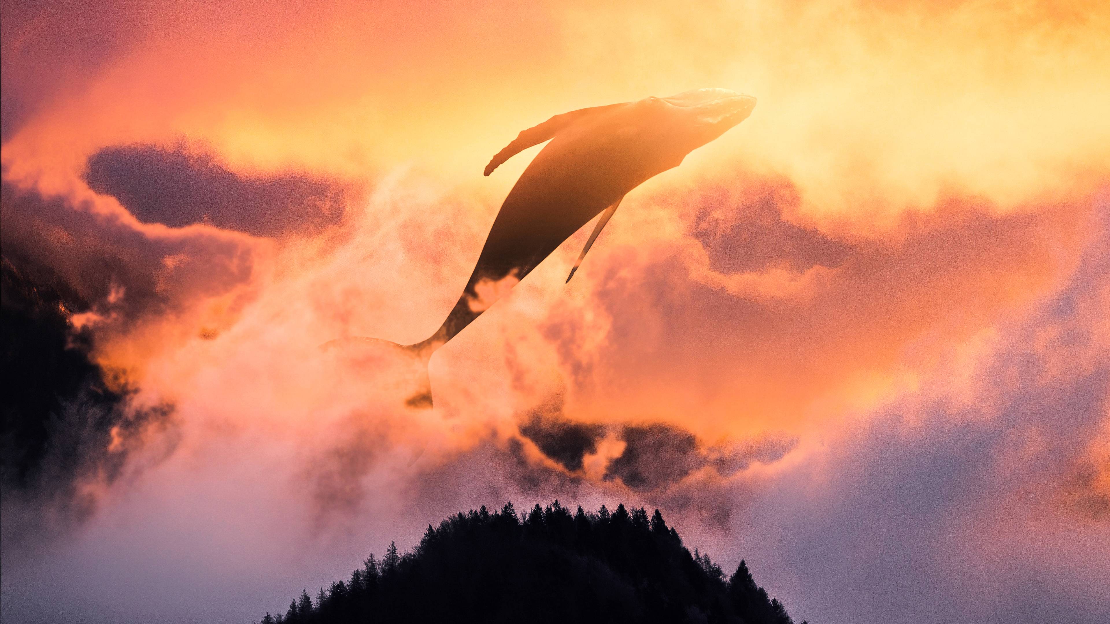 3840x2160 Surreal Sunset Whale 4K Wallpaper