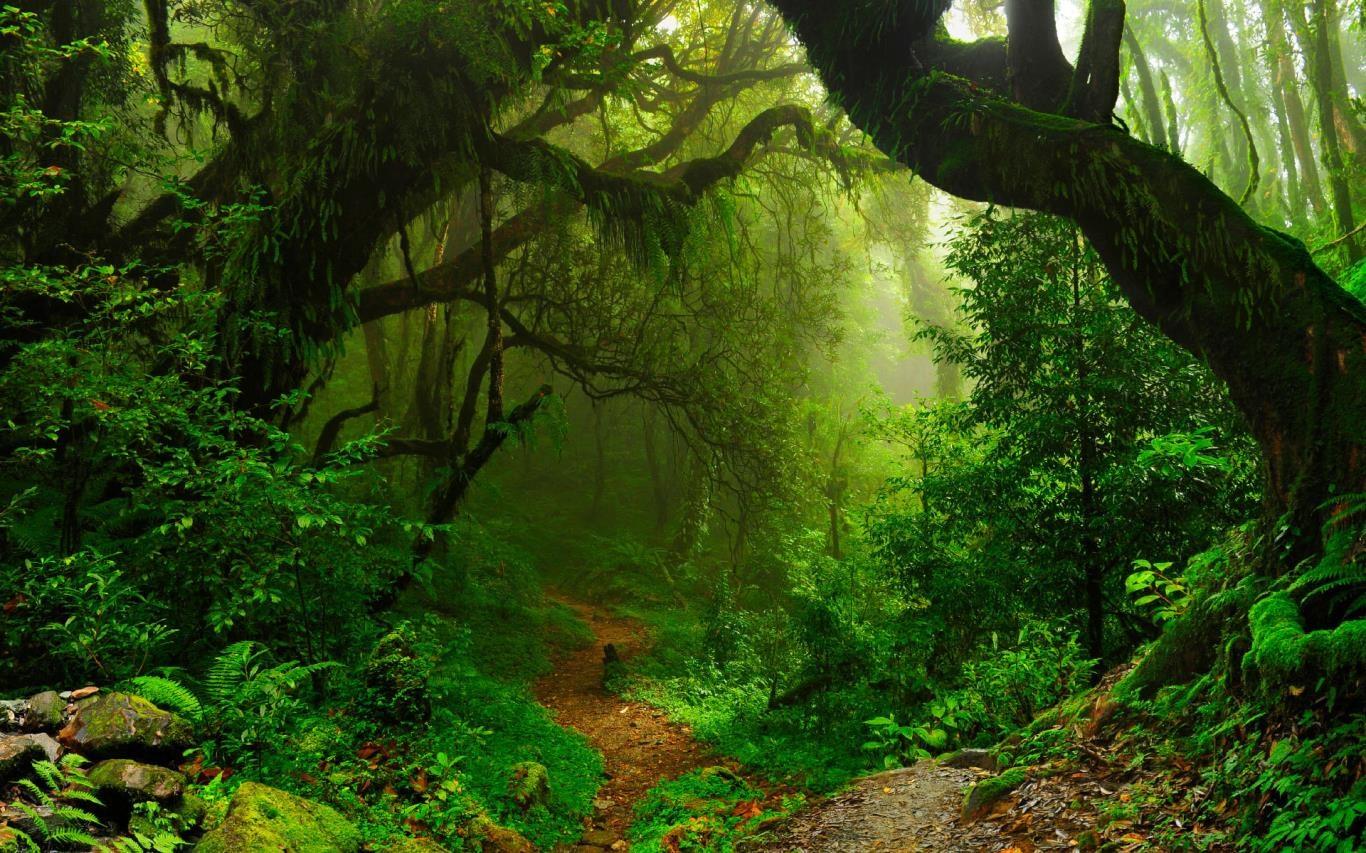 Biodiversity Wallpapers Top Free Biodiversity Backgrounds Biodiversity Wallpapers Top Free Biodiversity Backgrounds