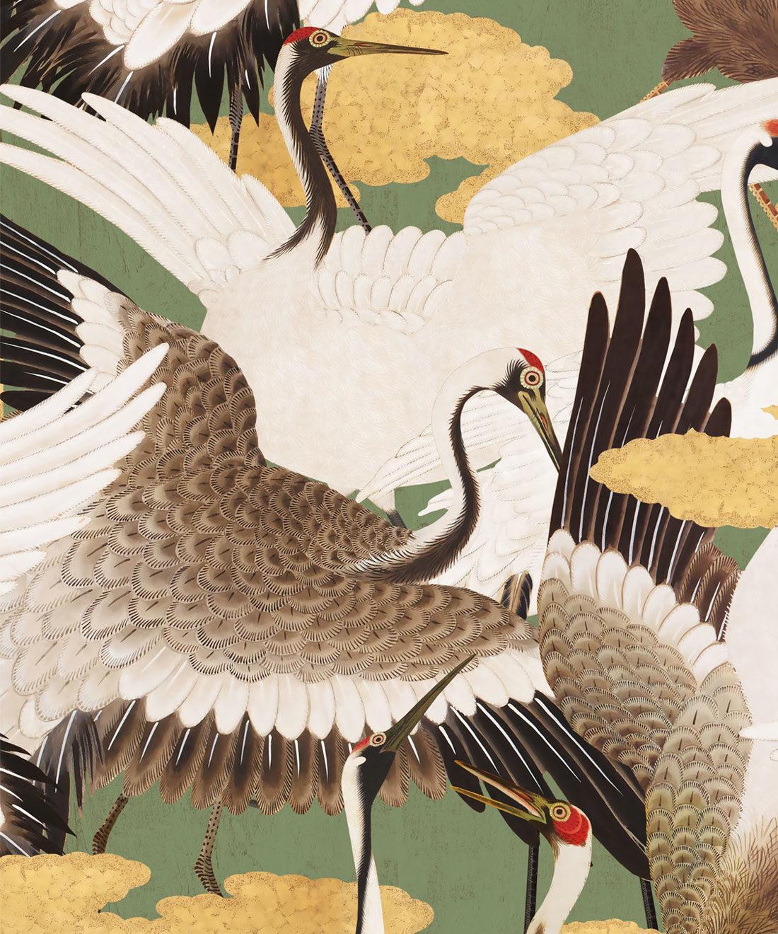 1100x1320 Cranes Wallpaper, Stunning Bird Wallpaper Design
