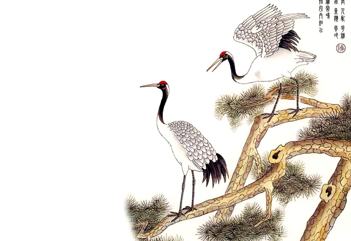 1200x825 Crane (bird) wallpaper HD. Download Free background