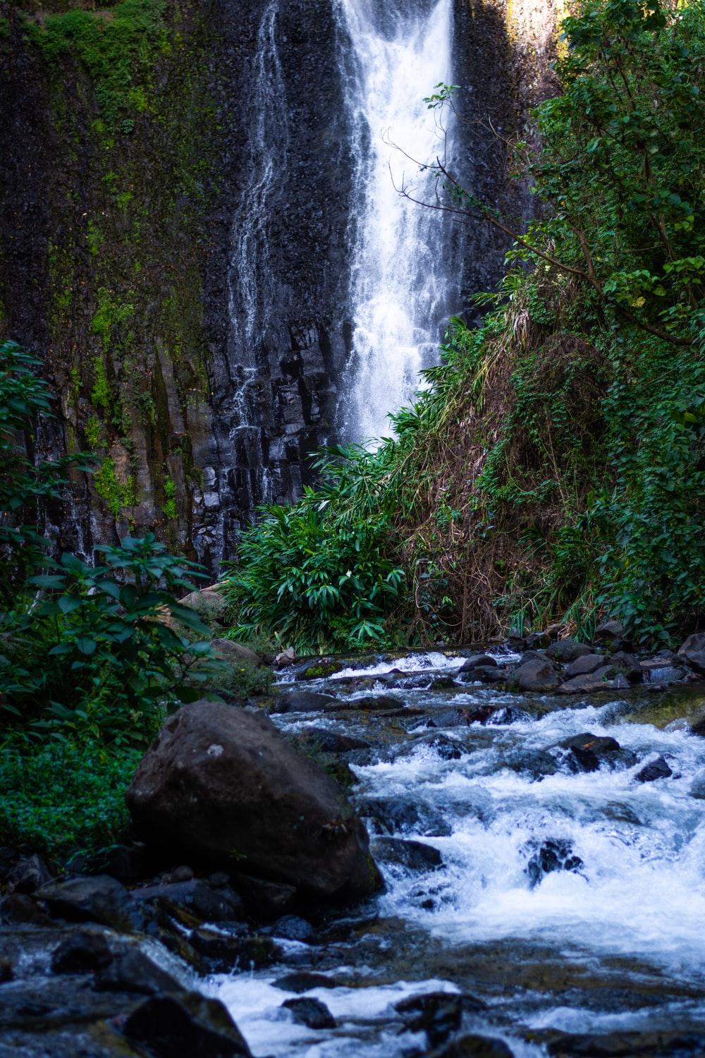1000x1500 Biodiversity Picture. Download Free Image