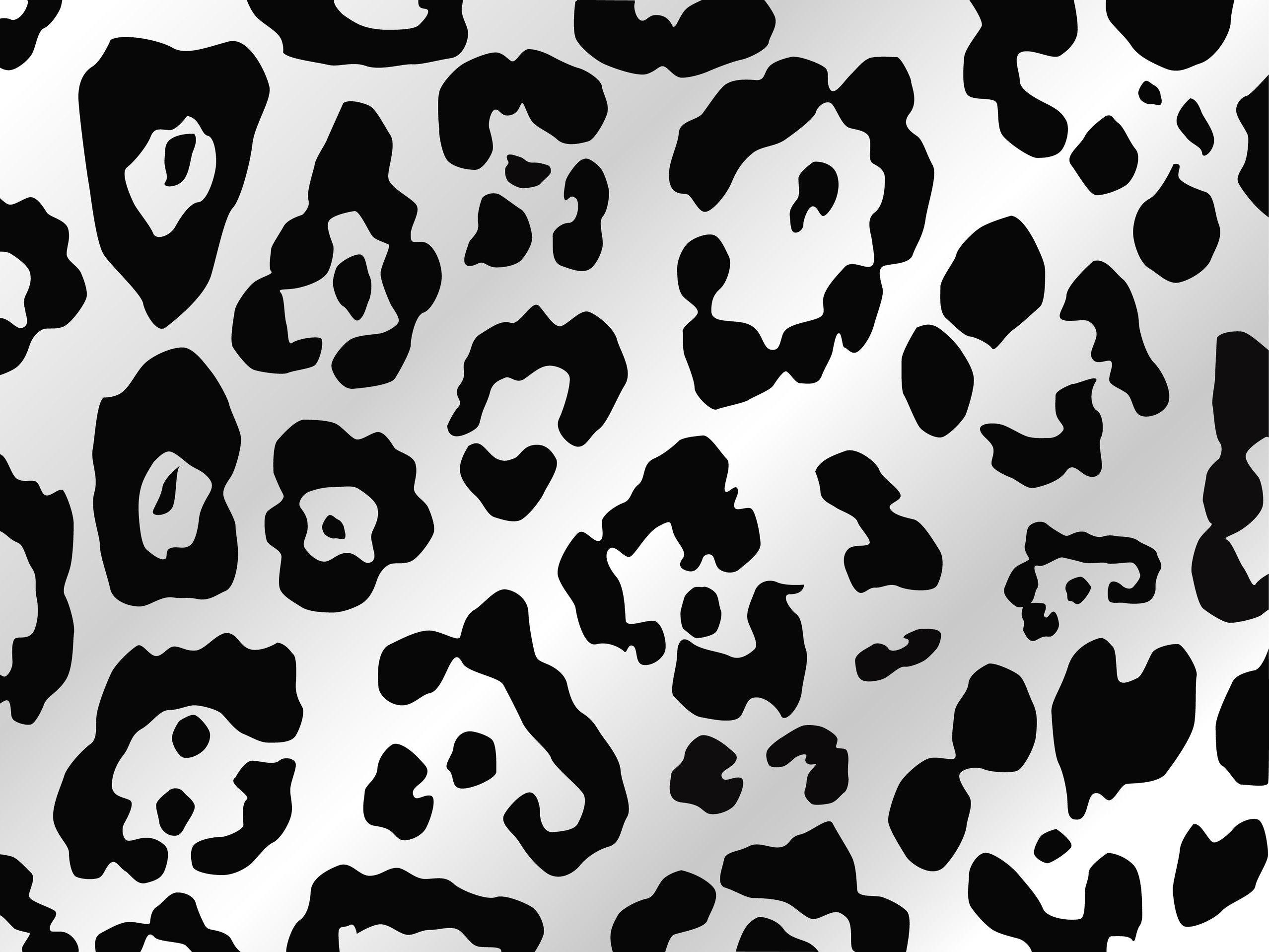 2556x1917 Animal Print Desktop Background