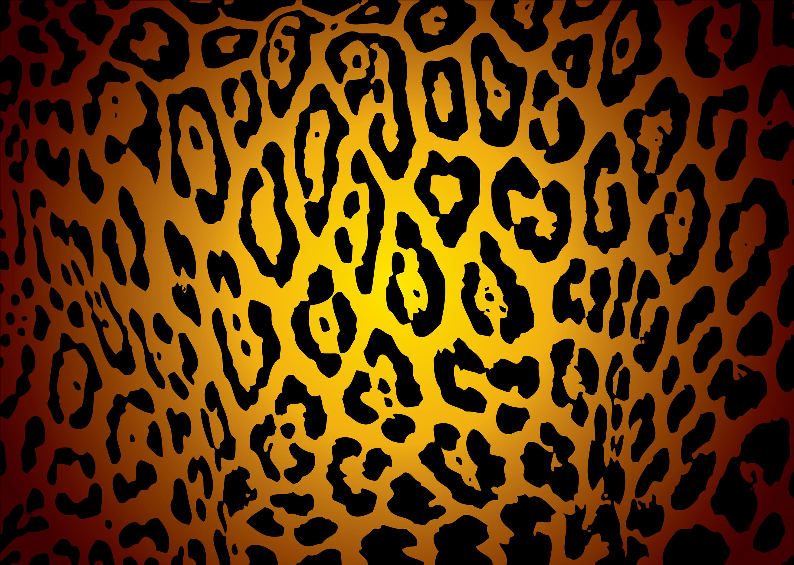 2624x1867 Free download Fotos Leopard Print Wallpaper For Desktop [2624x1867] for your Desktop, Mobile & Tablet. Explore Animal Print Desktop Background. Free Animal Wallpaper, Beautiful Animal Wallpaper, Bird Wallpaper for Computer