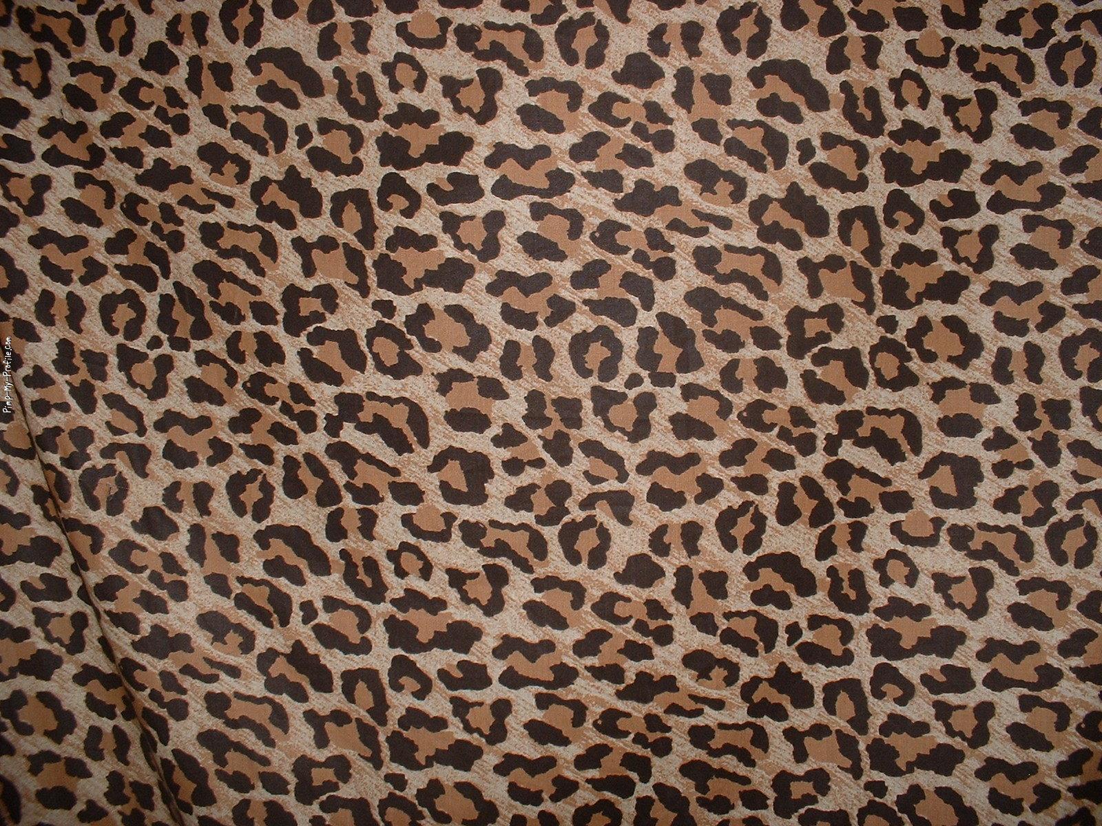 1600x1200 Free download Leopard print Twitter Background Pimp My Profilecom [1600x1200] for your Desktop, Mobile & Tablet. Explore Animal Print Desktop Background. Free Animal Wallpaper, Beautiful Animal Wallpaper, Bird Wallpaper for Computer