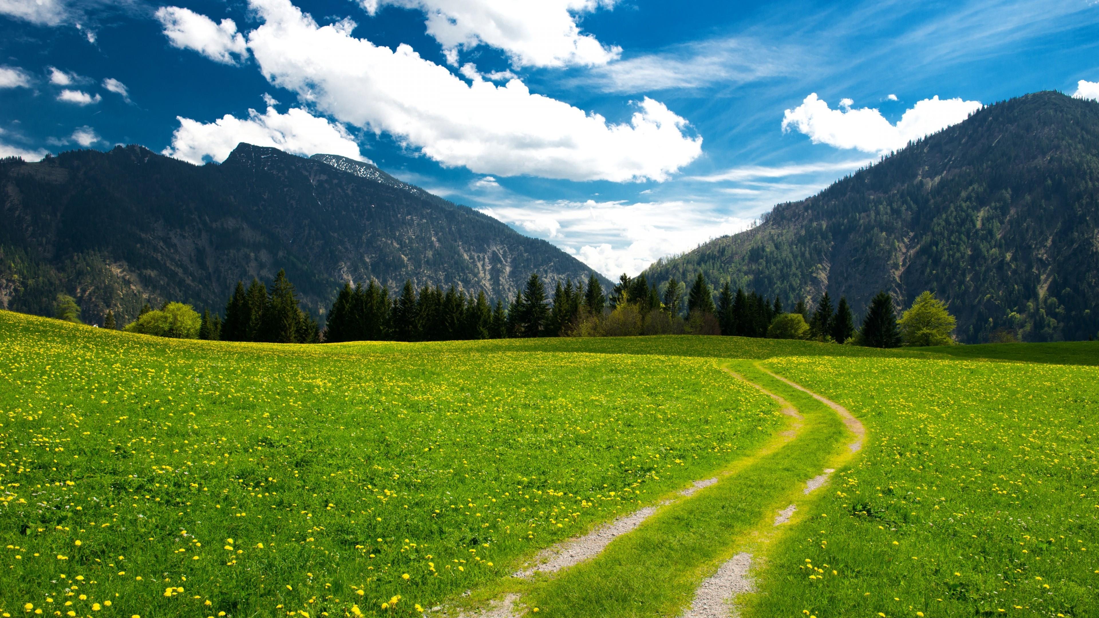 3840x2160 Download 3840x2160 Bavarian Alps, Grass, Mountains, Trees, Clouds Wallpaper for UHD TV