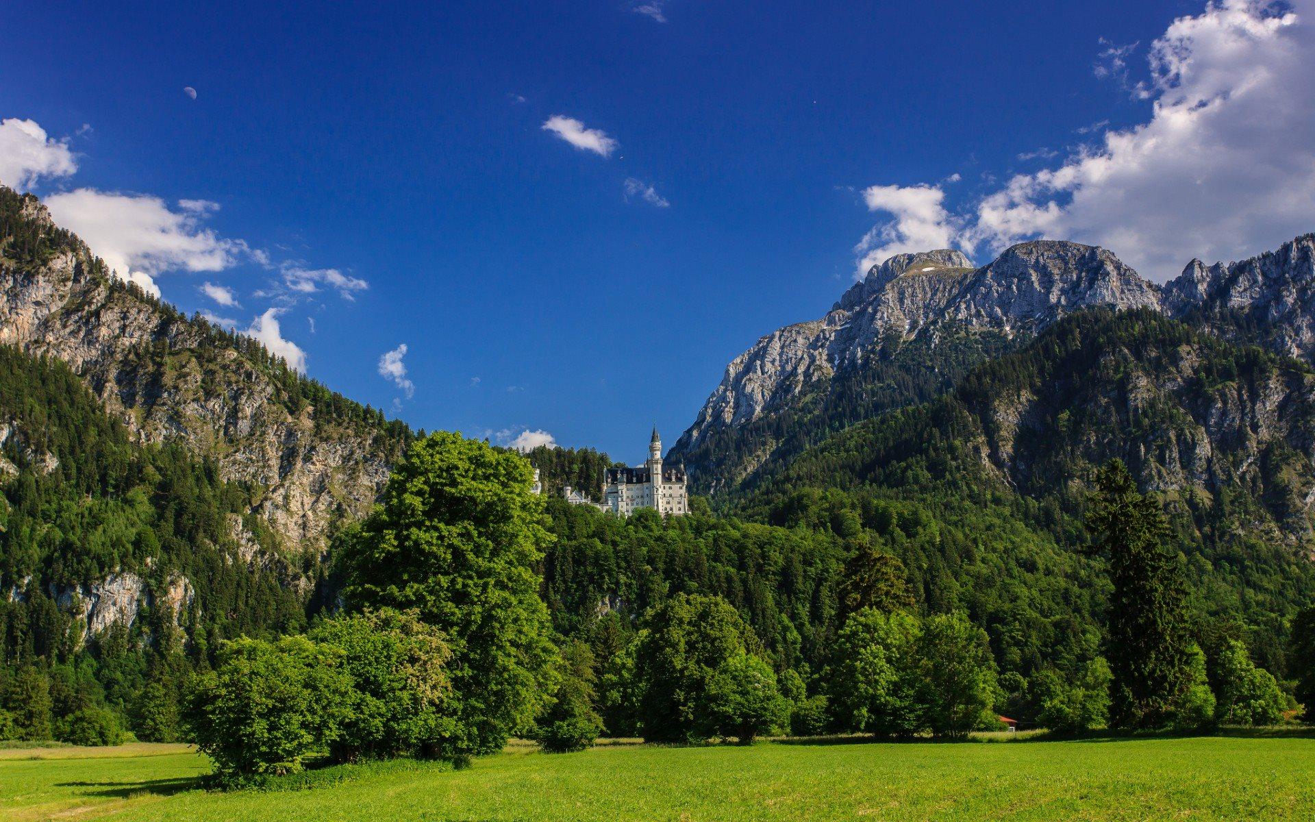 1920x1200 Download wallpaper mountain, forest, castle, Neuschwanstein Castle, Bavarian Alps, Germany for desktop with resolution 1920x1200. High Quality HD picture wallpaper