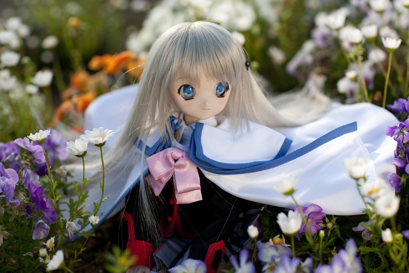 1600x1067 Free download Doll Computer Wallpaper Desktop Background 1600x1067 ID208548 [1600x1067] for your Desktop, Mobile & Tablet. Explore Doll Wallpaper for Desktop. Baby Doll Wallpaper Free Download, Very Cute Doll