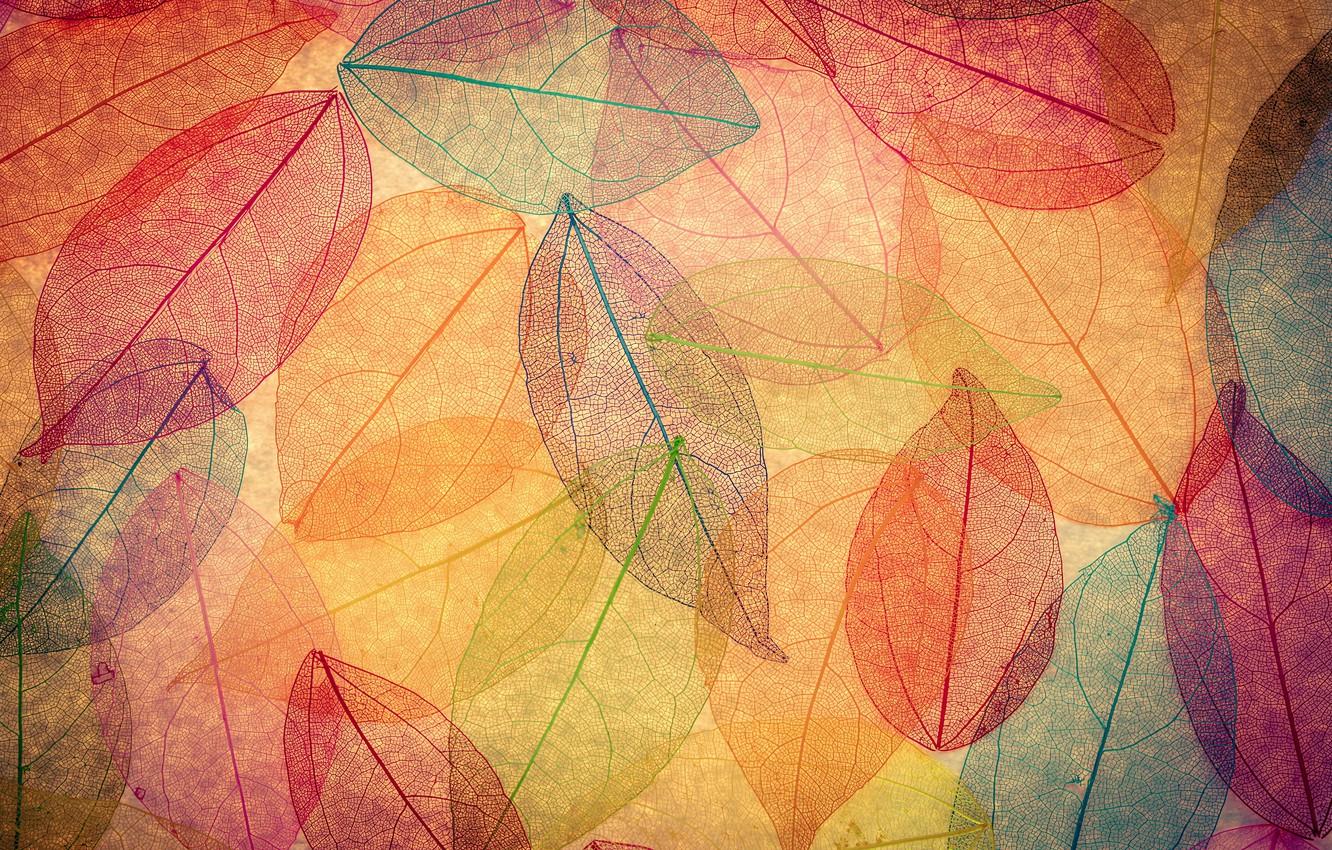 1332x850 Wallpaper leaves, background, colorful, abstract, autumn, leaves, autumn, transparent image for desktop, section текстуры