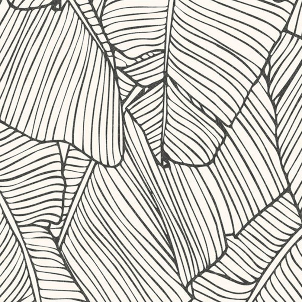 1000x1000 Leaf Outline Abstract White And Black