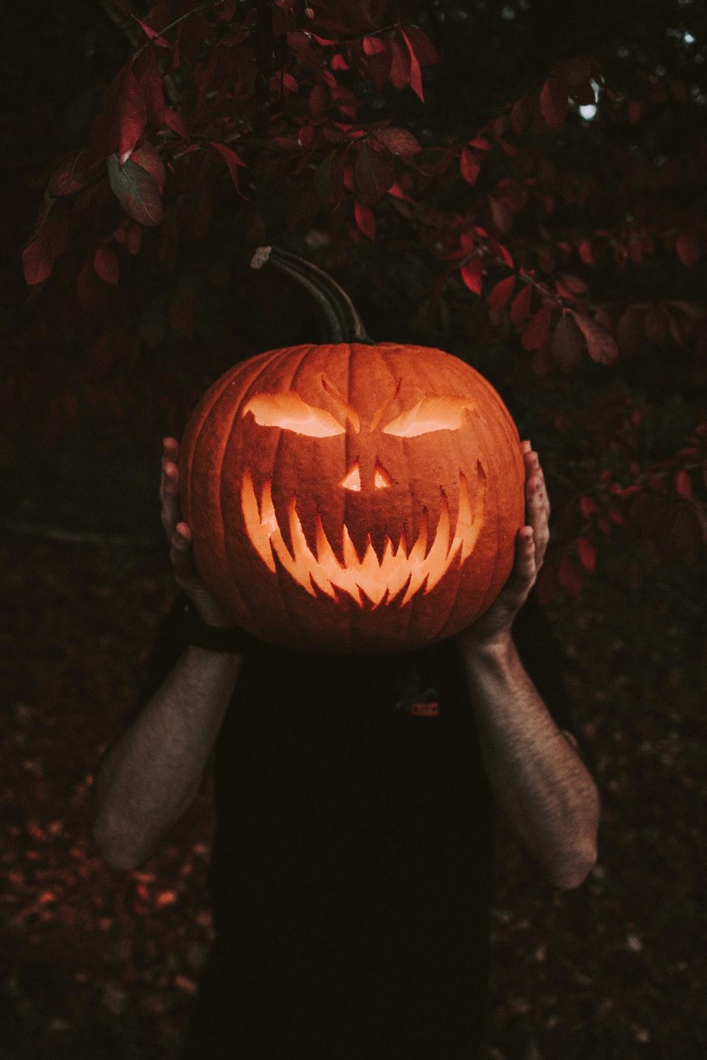 1000x1500 Halloween Wallpaper: Free HD Download [HQ]