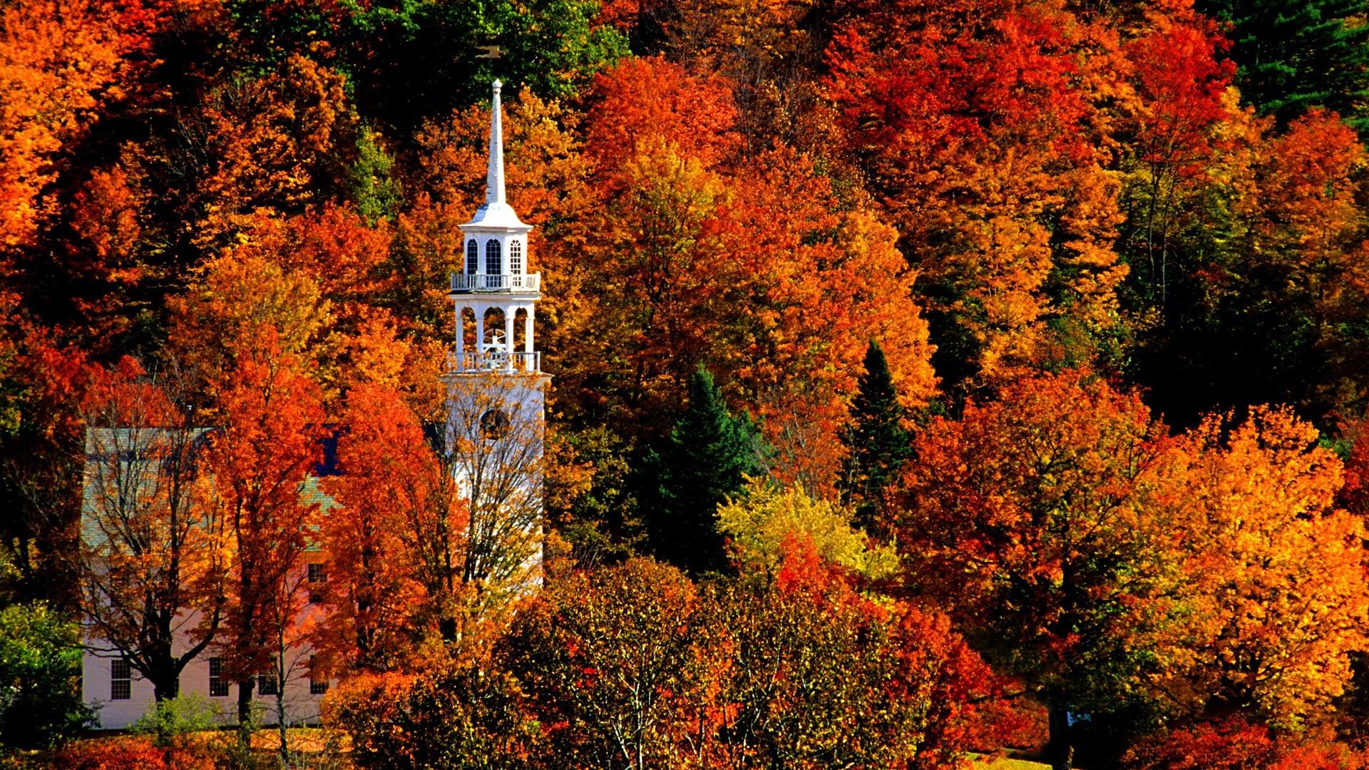 1920x1080 HD 1080p Fall