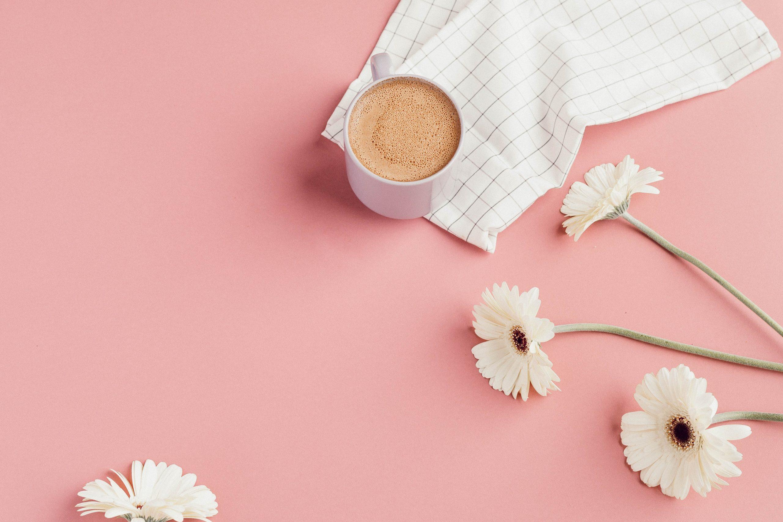 2560x1707 White ceramic mug near white flowers • Wallpaper For You HD Wallpaper For Desktop & Mobile