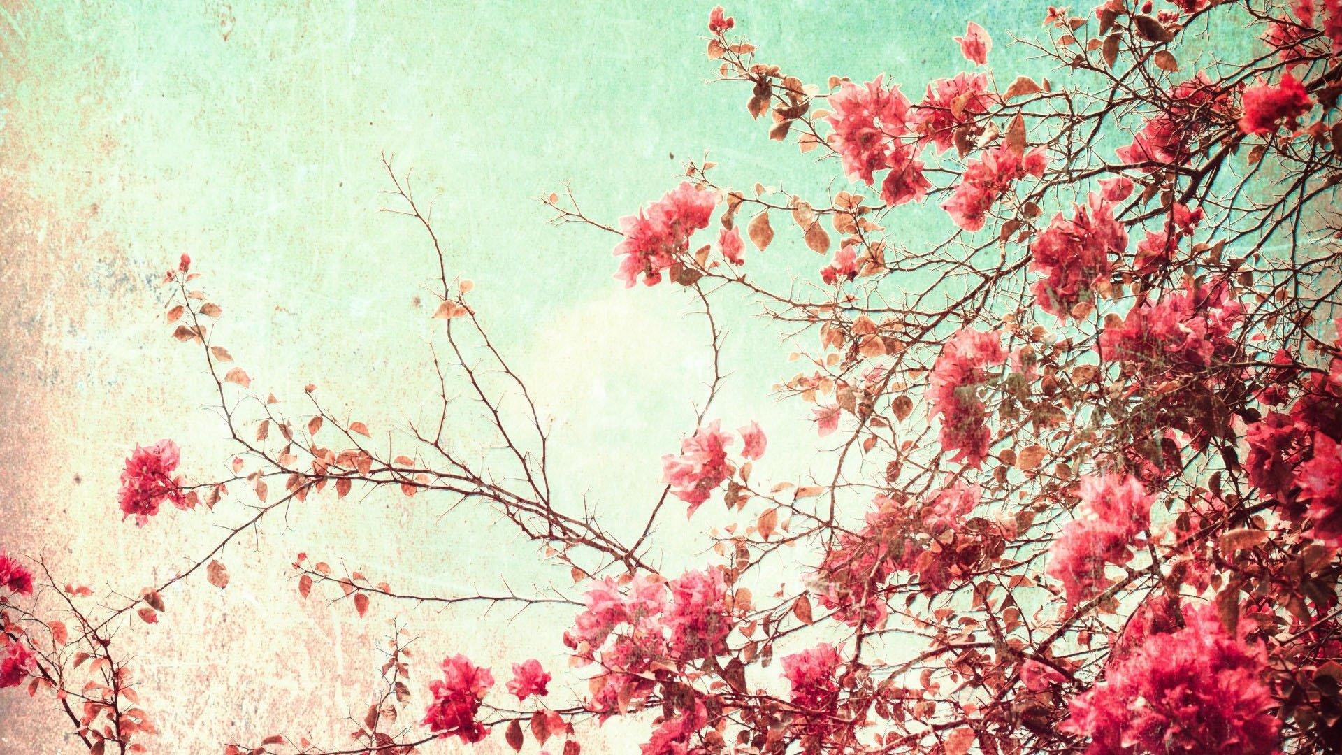 1920x1080 Pastel Aesthetic Wallpaper