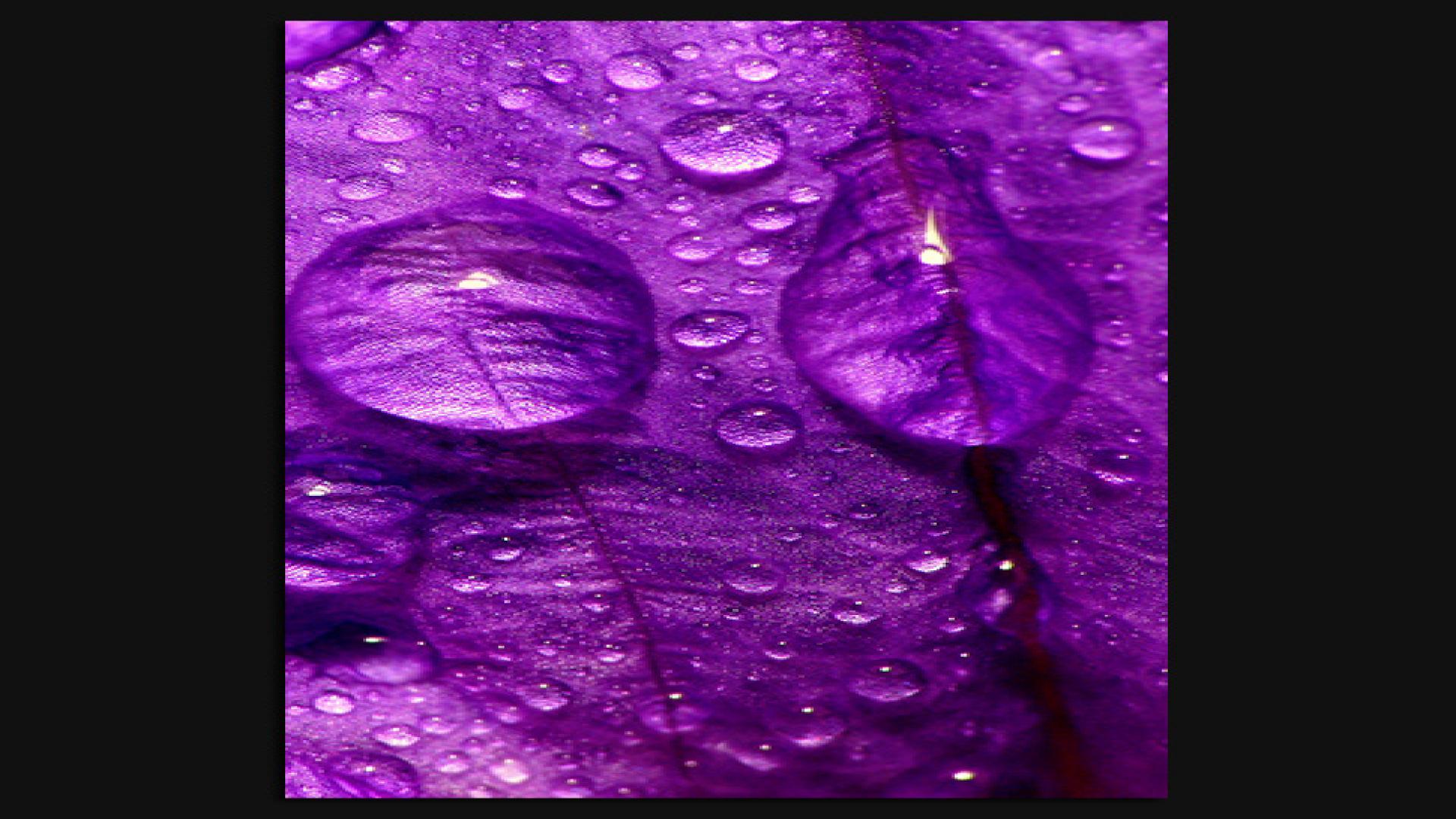 Purple Rain Wallpapers Top Free Purple Rain Backgrounds WallpaperAccess