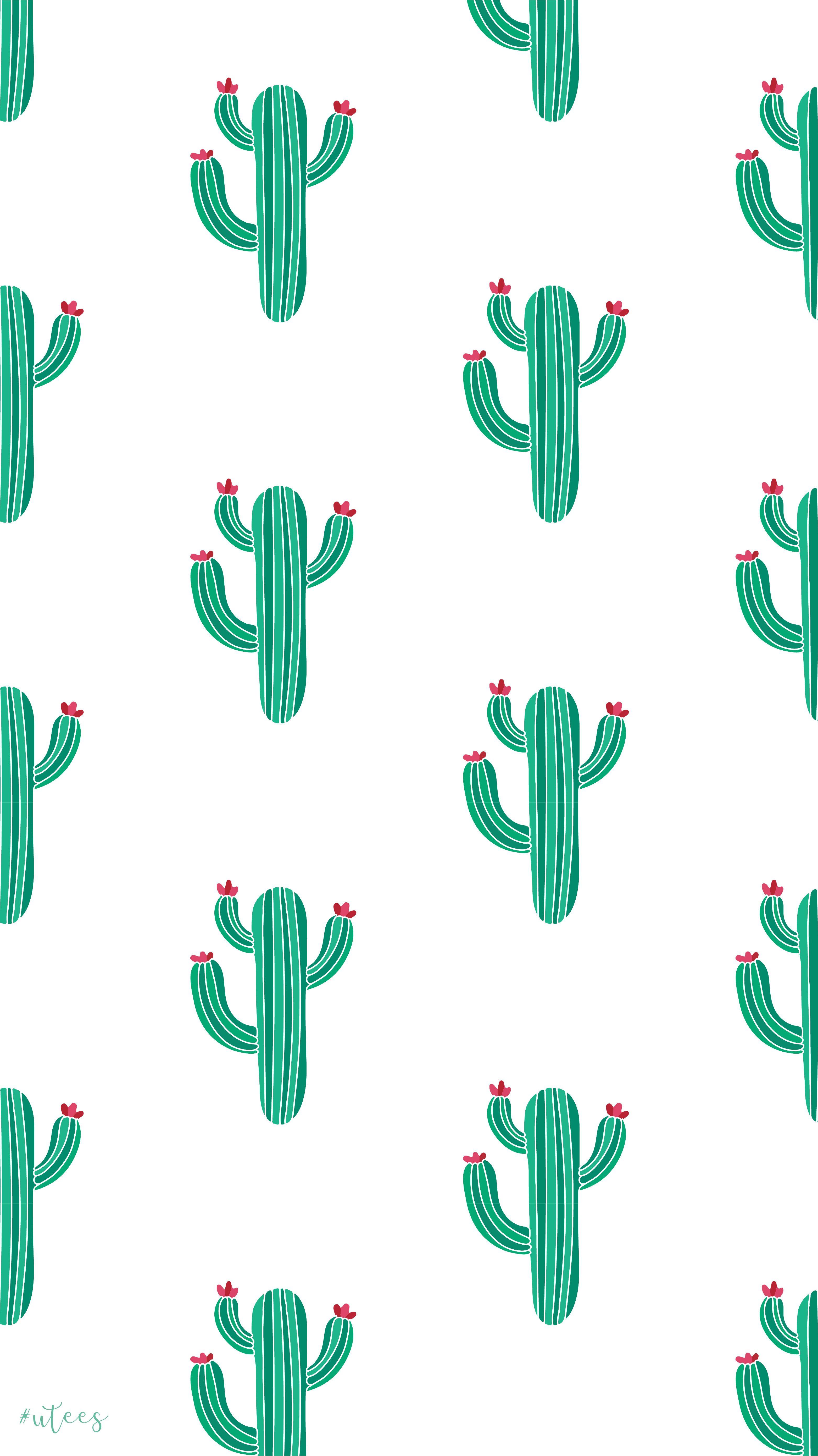 Cool Cactus Wallpapers - Top Free Cool Cactus Backgrounds - WallpaperAccess