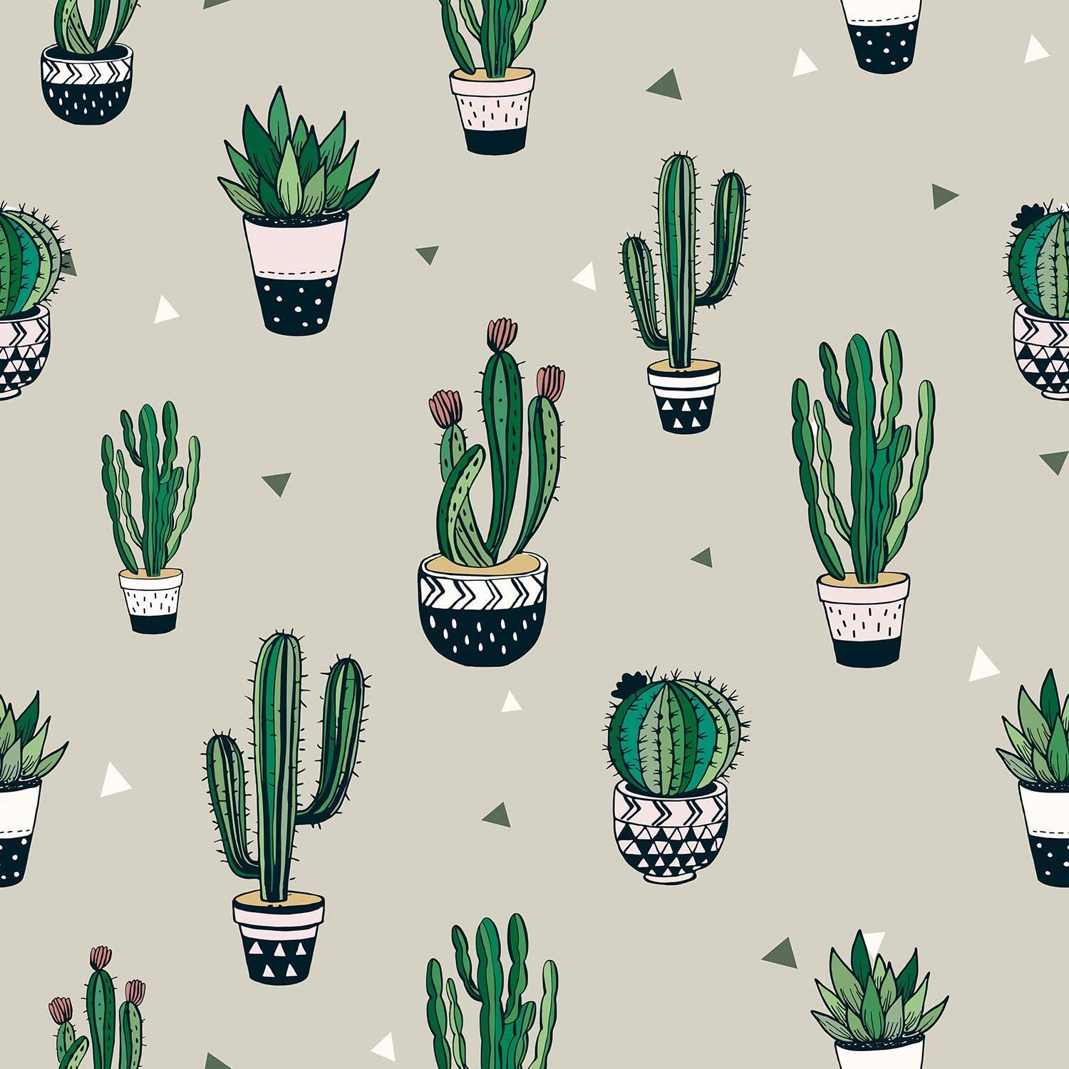 Cool Cactus Wallpapers - Top Free Cool Cactus Backgrounds - WallpaperAccess