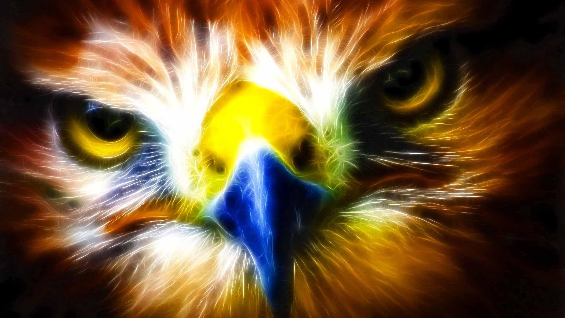 1920x1080 Eagle Wallpaper Full HD