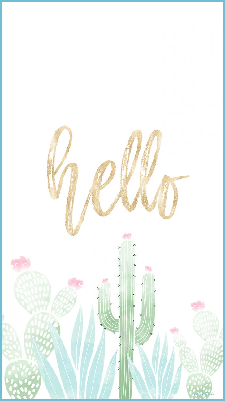 Cool Cactus Wallpapers - Top Free Cool Cactus Backgrounds - WallpaperAccess