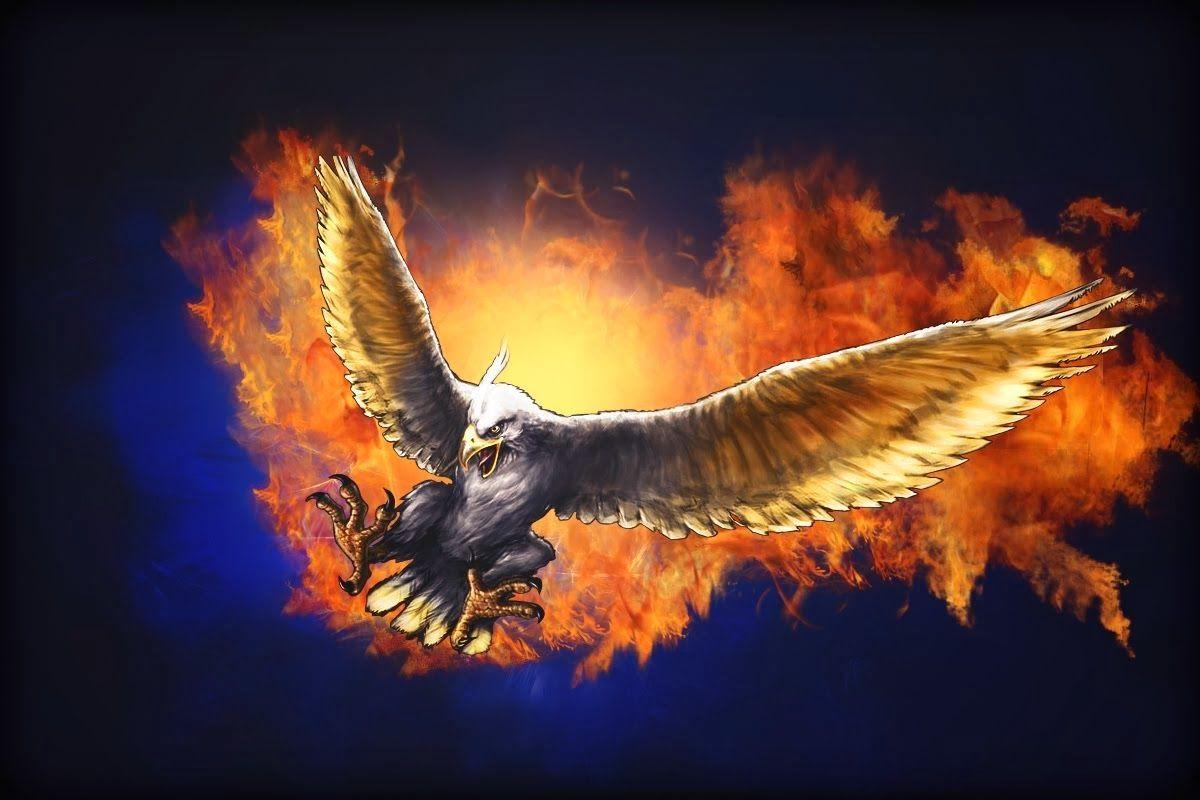 1200x800 Exquisite American Eagle Wallpaper HD Wallpaper. HD