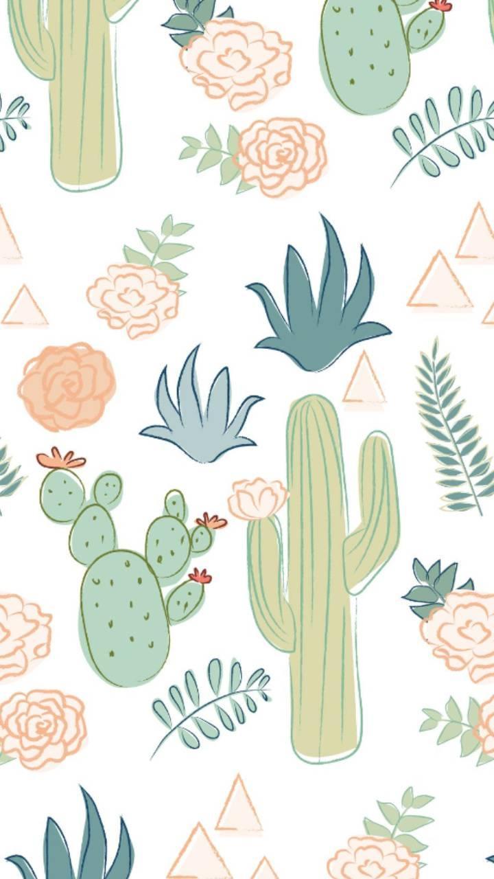 Cool Cactus Wallpapers - Top Free Cool Cactus Backgrounds - WallpaperAccess