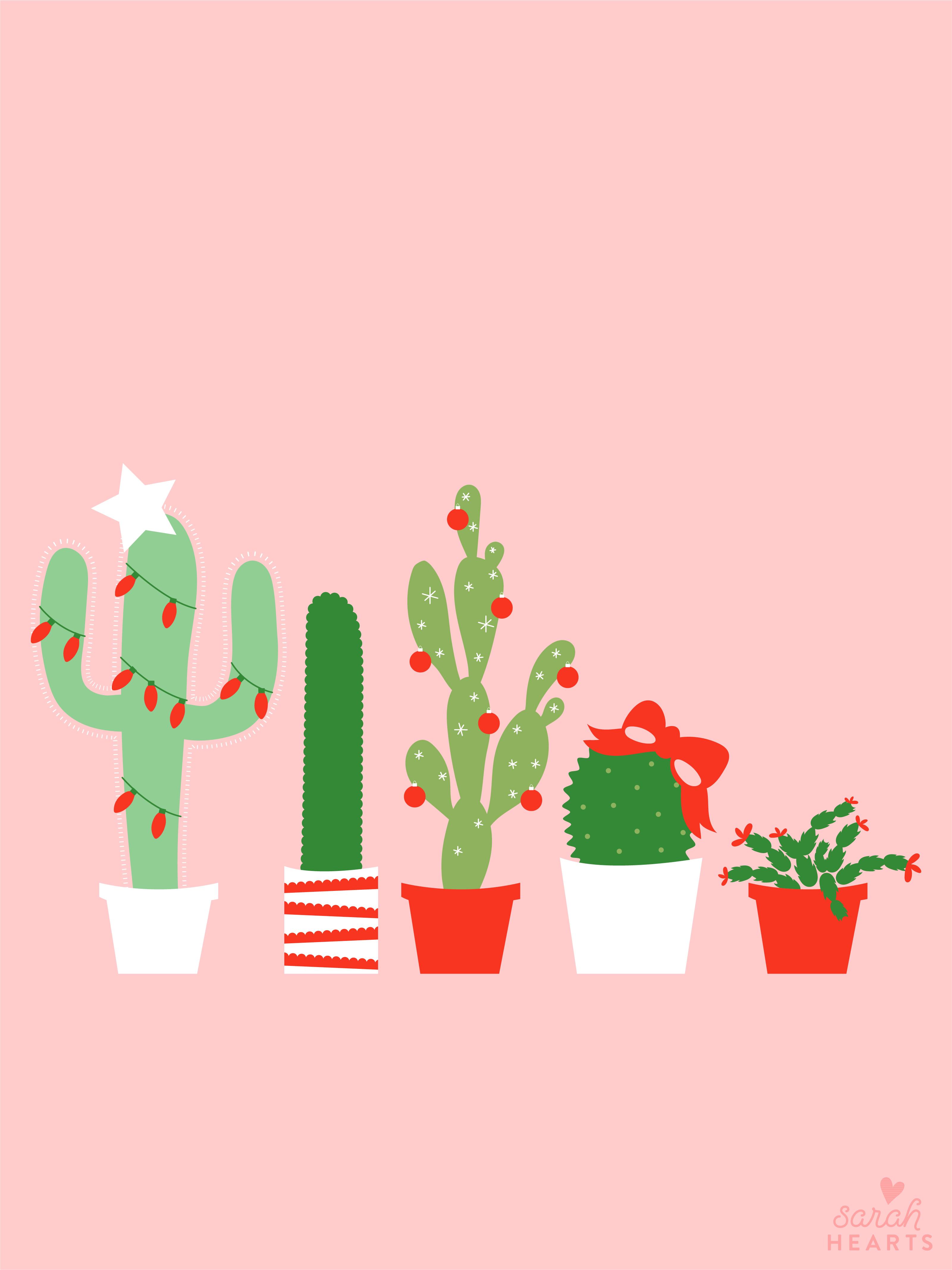 3201x4268 December 2017 Christmas Cactus Calendar Wallpaper