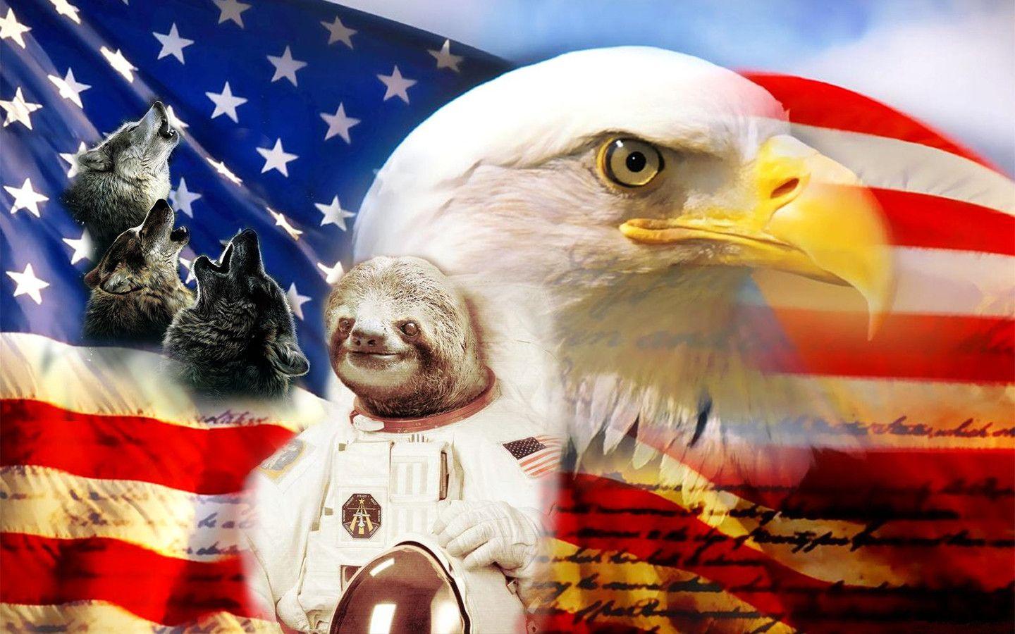 1440x900 If you love freedom and 'Murica, than here you go. 1440x900