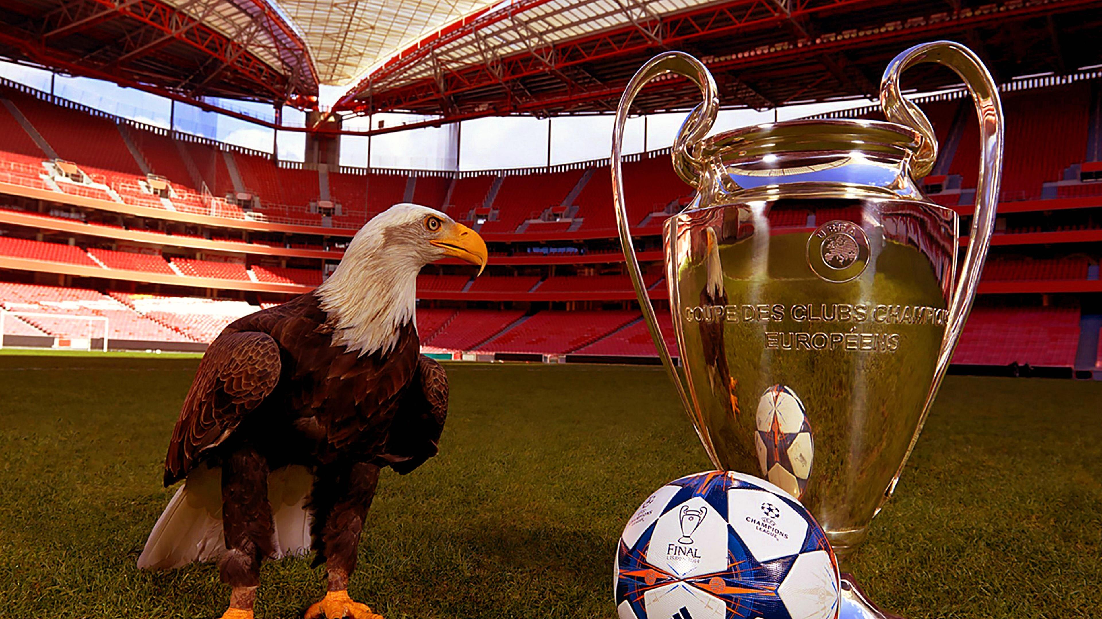 3840x2160 Wallpaper from Sport Category. Wallpaper Studio 10