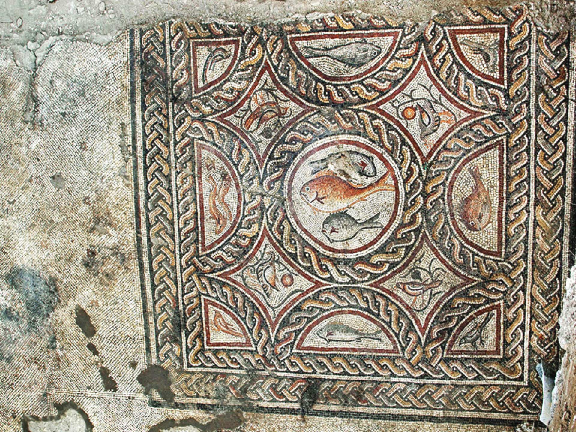 1920x1440 Israeli Archaeologists Uncover Impressive Roman Era Mosaic. Archaeology. Sci