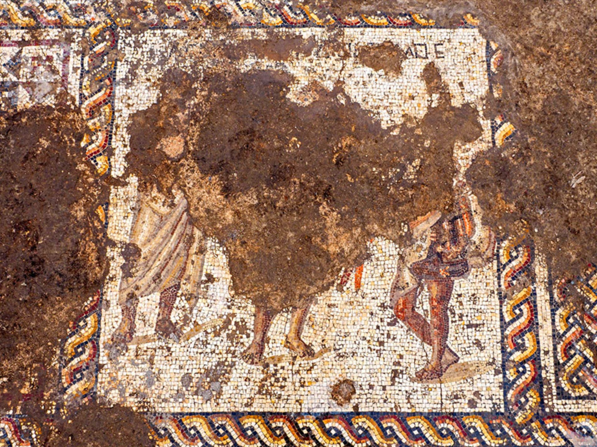 1920x1440 Colorful Roman Mosaic Unearthed In Israel. Archaeology. Sci