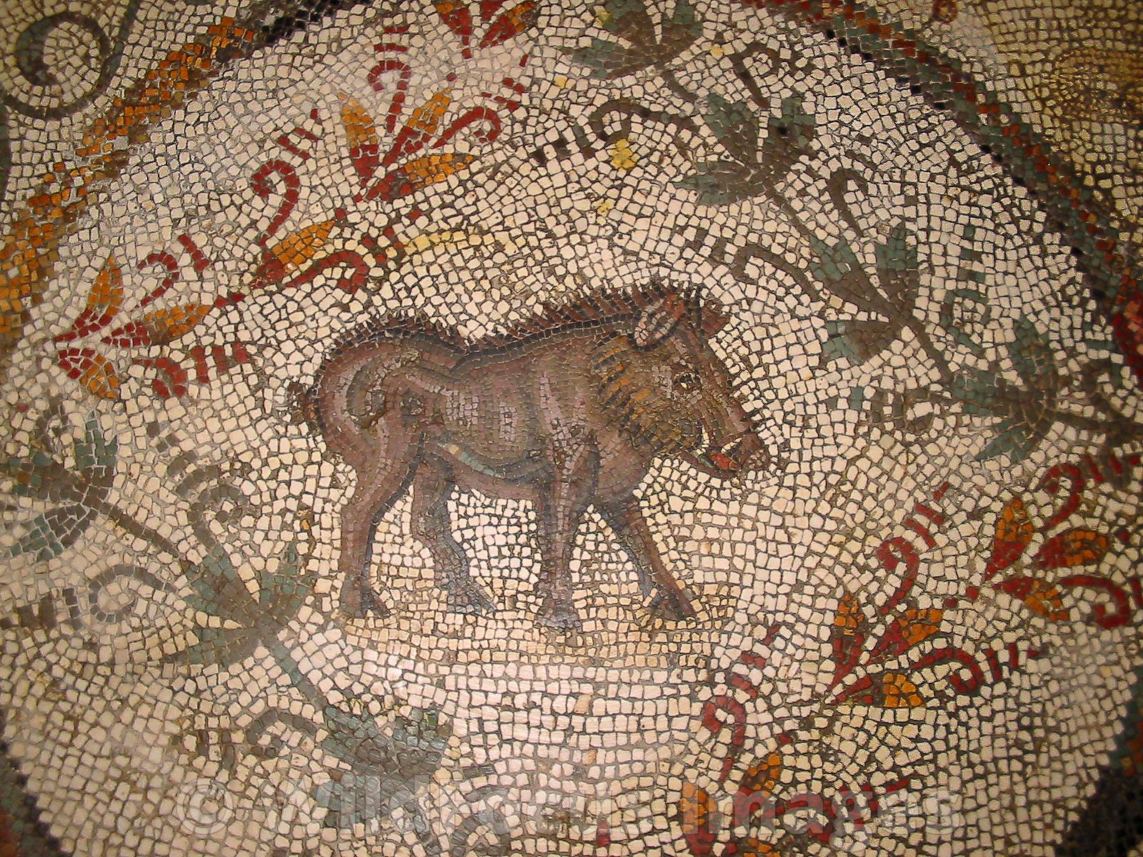 1600x1200 WildFocus Image. Roman Mosaic depicting a Boar, Bardo Museum, Tunisia, Landscape