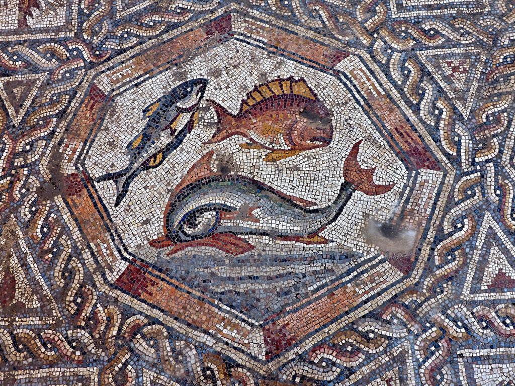 1024x768 Hidden Ancient Mosaic Discovered in Israel