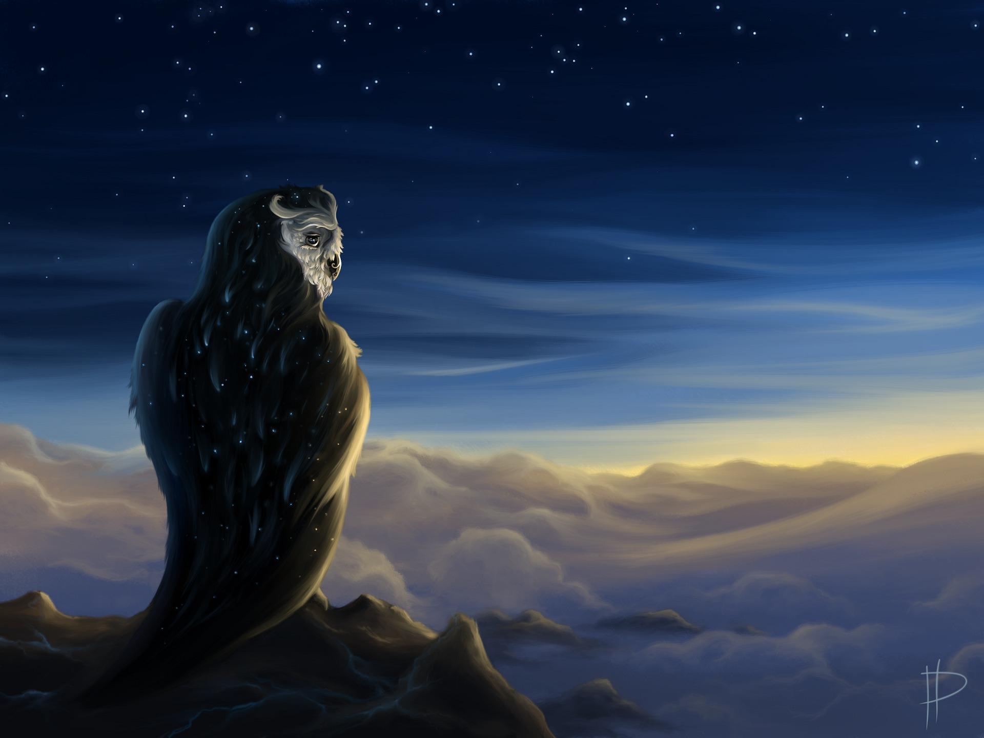 1920x1440 Fantasy Birds Wallpaper