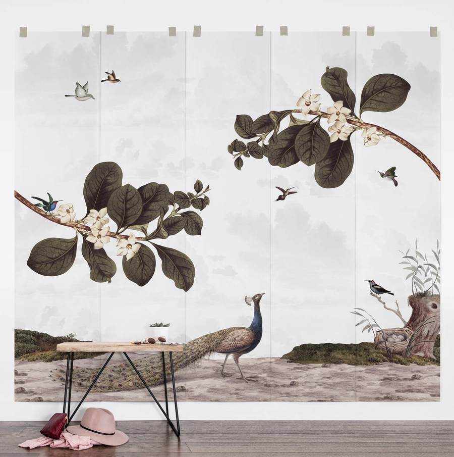 900x905 Vintage Birds Wall Mural