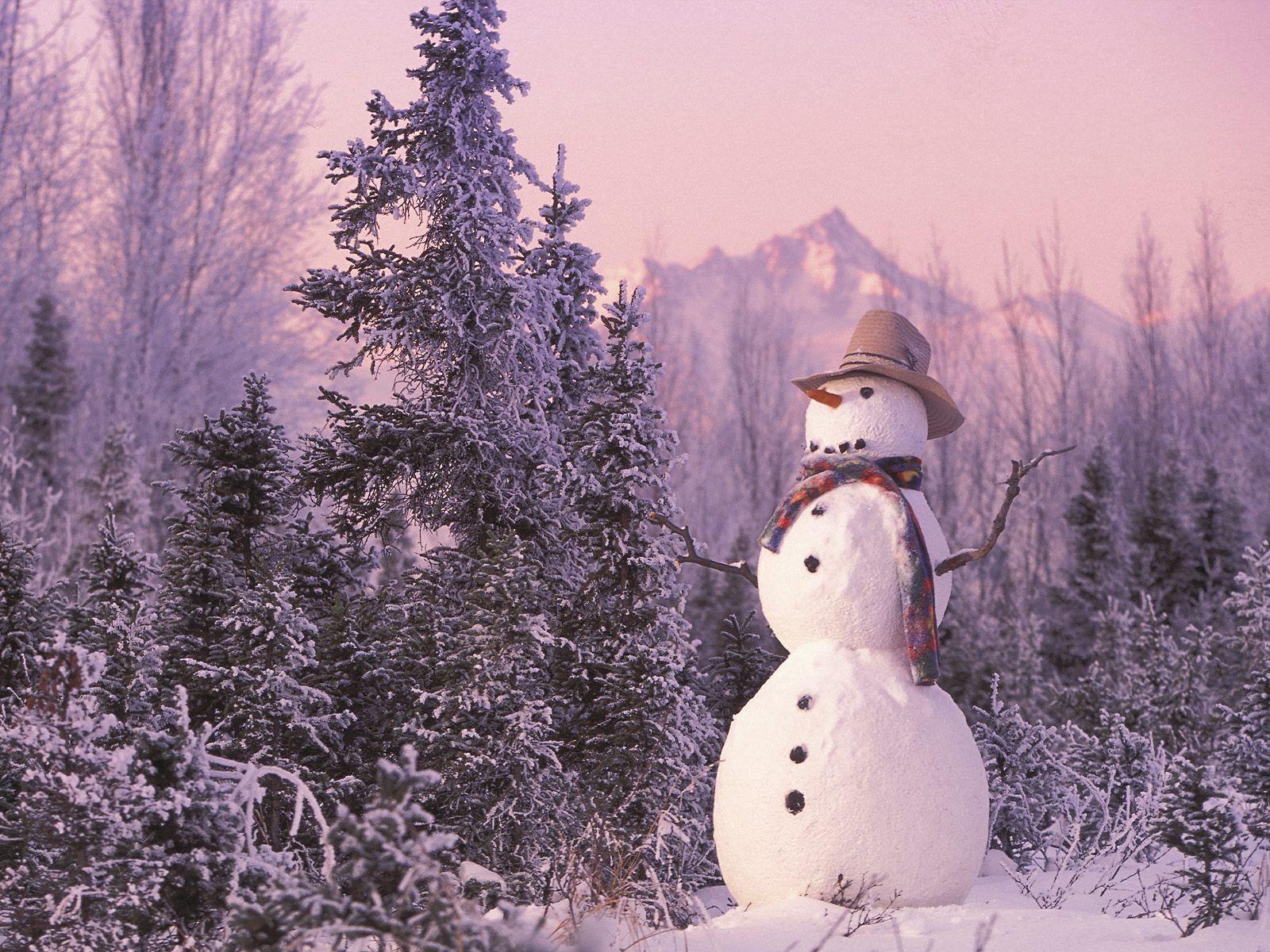 1600x1200 Winter Real Snowmen Wallpaper