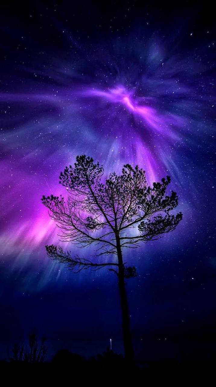 716x1280 Magical Night Wallpaper