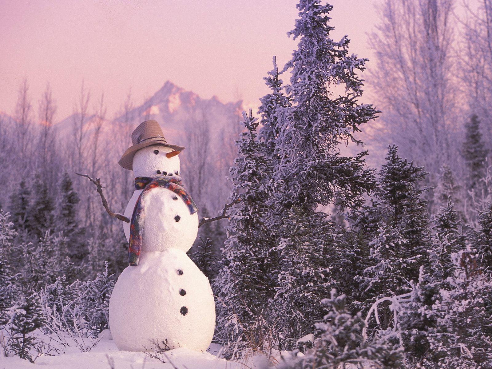 1600x1200 Frosty The Snowman Wallpaper